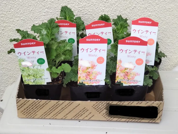 アイキャッチ