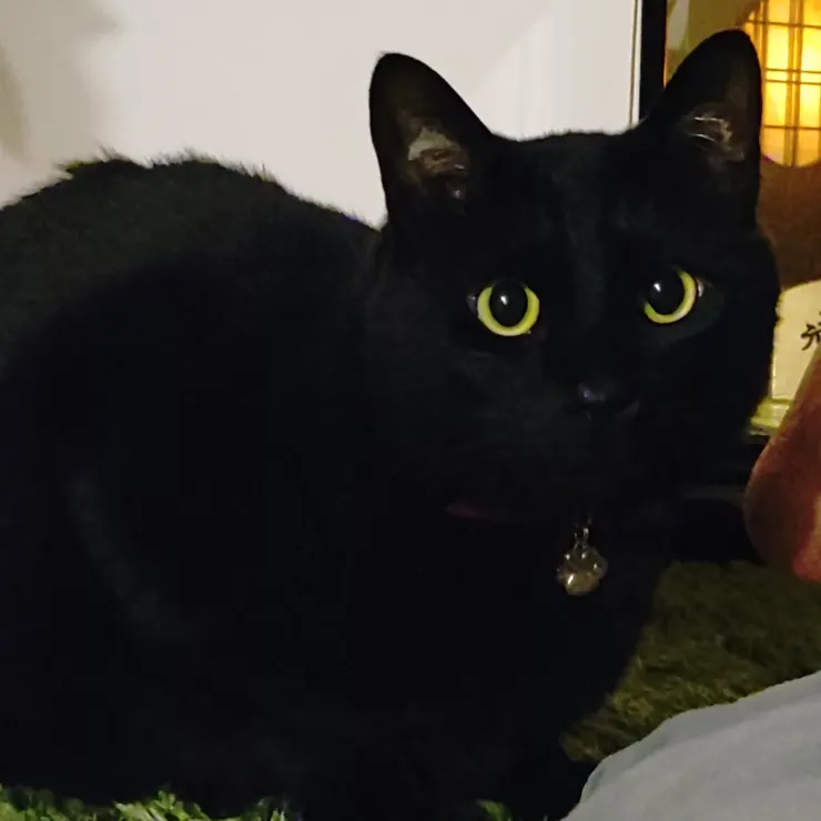 アイキャッチ
