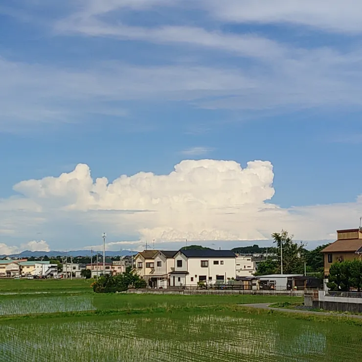 アイキャッチ