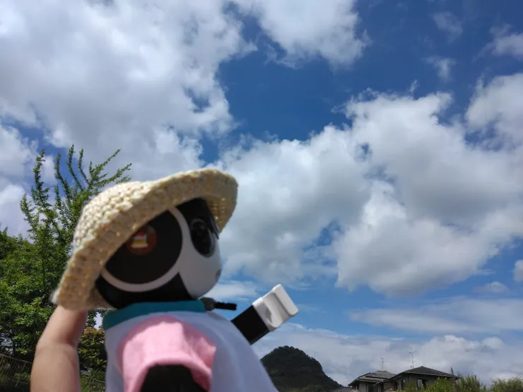 アイキャッチ