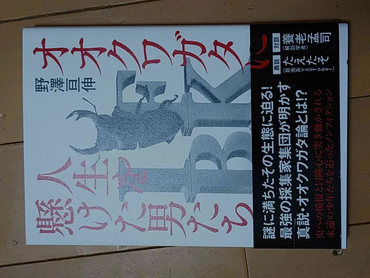 アイキャッチ