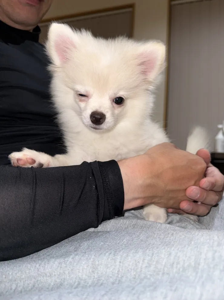 アイキャッチ