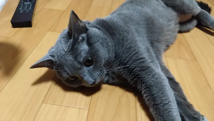 アイキャッチ