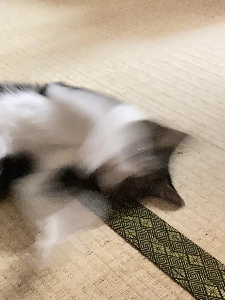 アイキャッチ