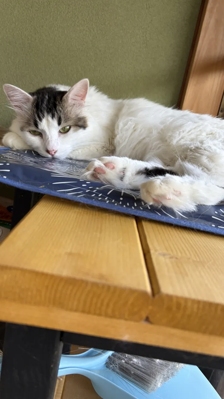 アイキャッチ