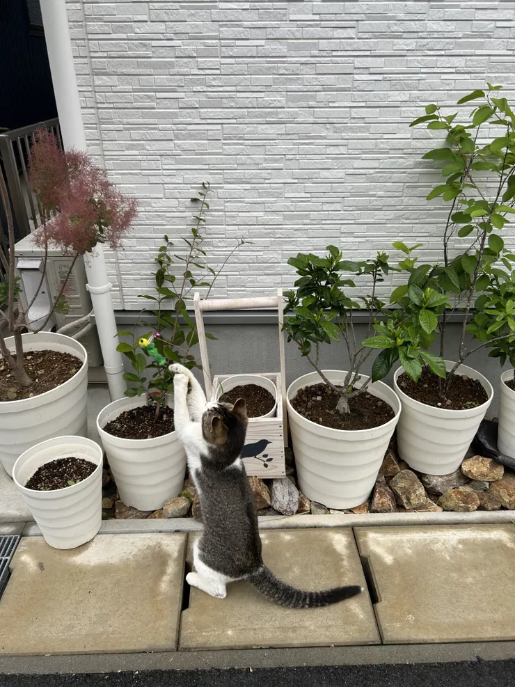 アイキャッチ