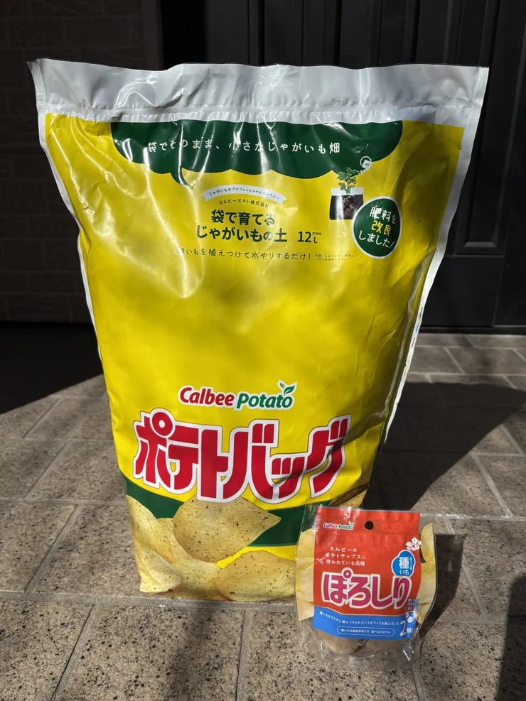 アイキャッチ
