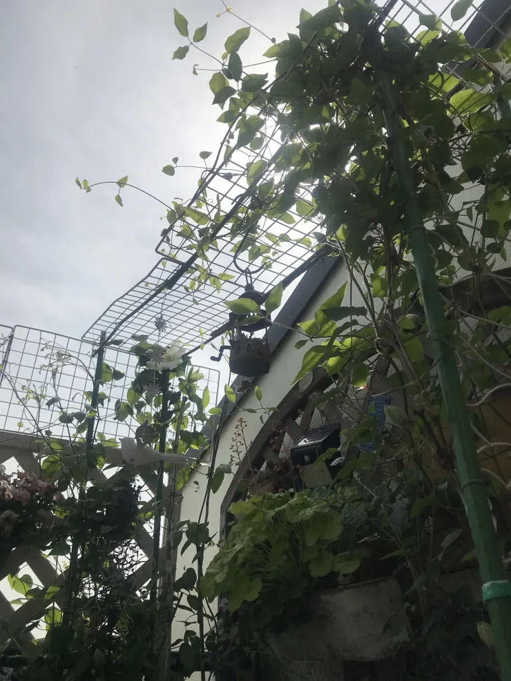 アイキャッチ