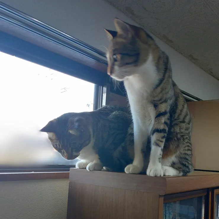 アイキャッチ