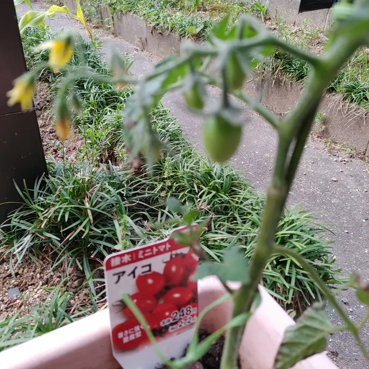 アイキャッチ