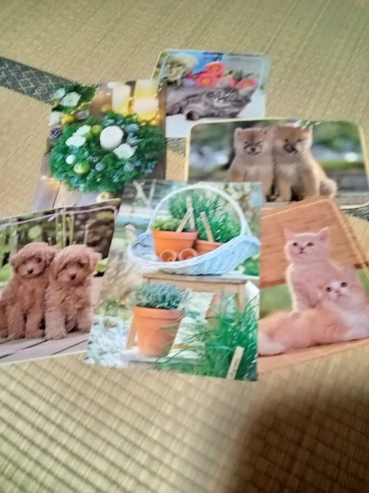 アイキャッチ