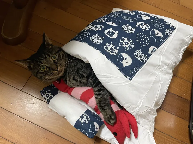 アイキャッチ