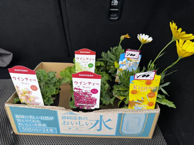 アイキャッチ