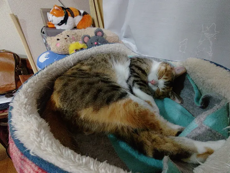 アイキャッチ