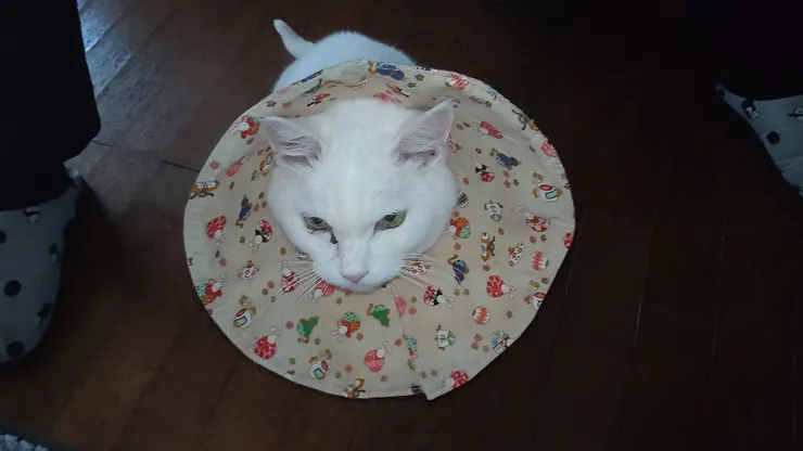 アイキャッチ