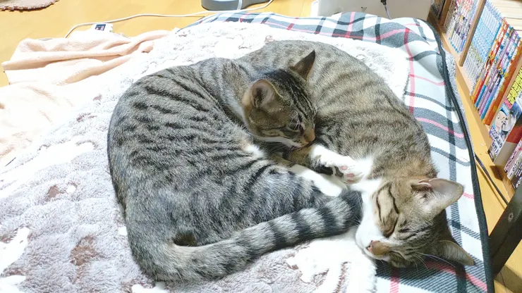 アイキャッチ