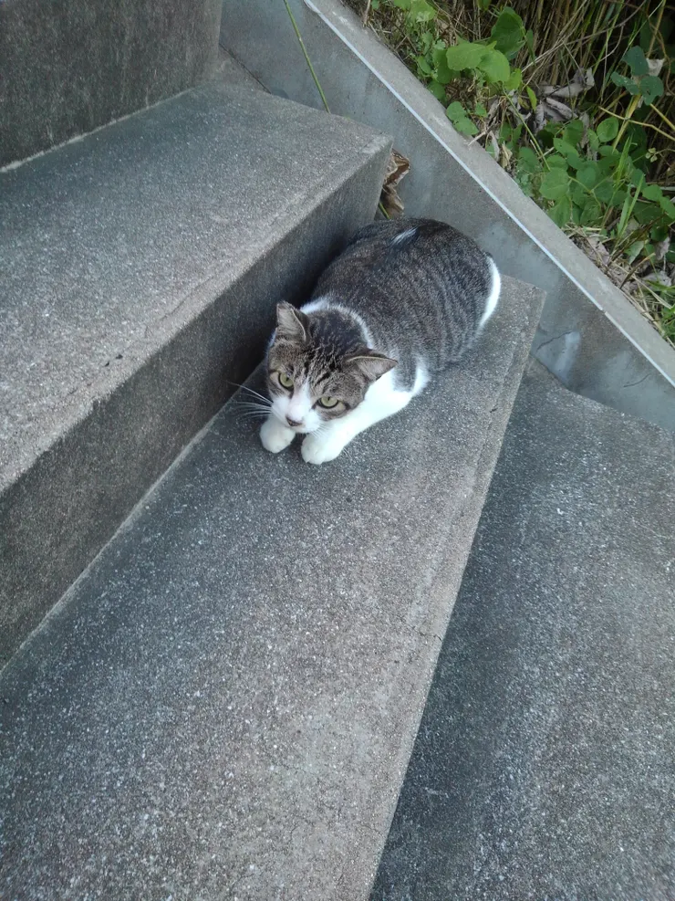 アイキャッチ