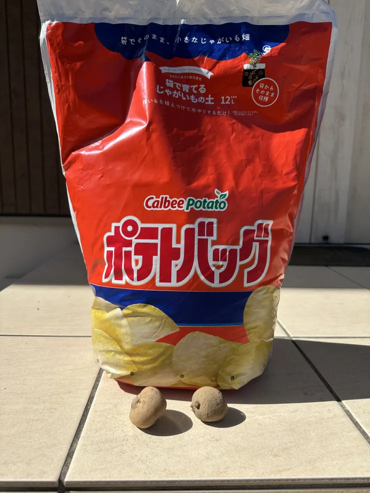 アイキャッチ