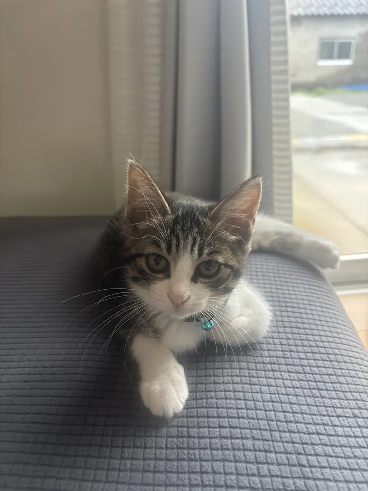 アイキャッチ