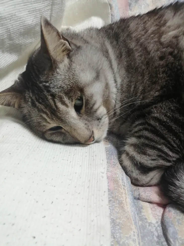アイキャッチ