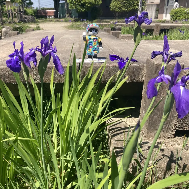 アイキャッチ