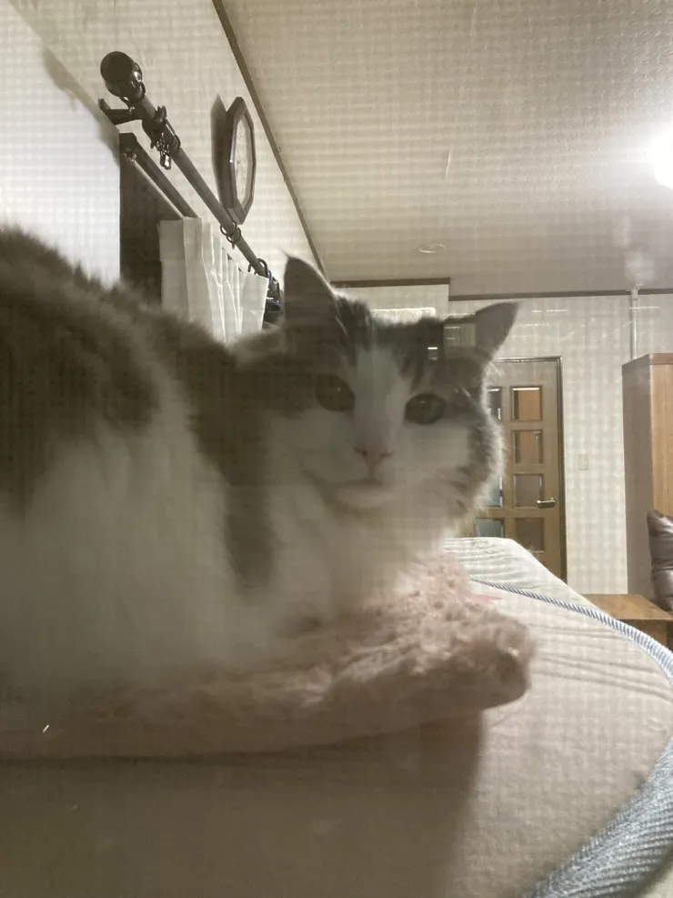 アイキャッチ
