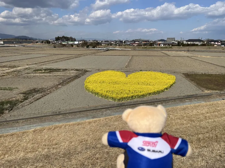 アイキャッチ