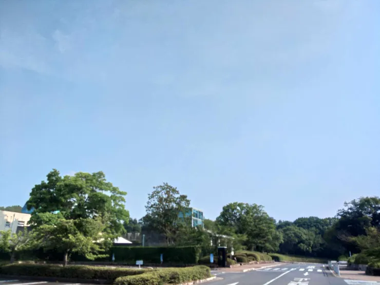 アイキャッチ