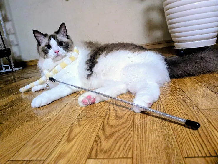 アイキャッチ