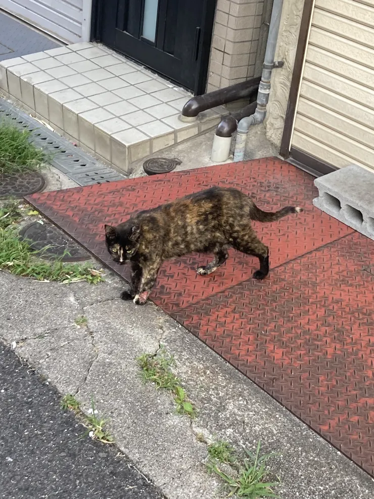 アイキャッチ