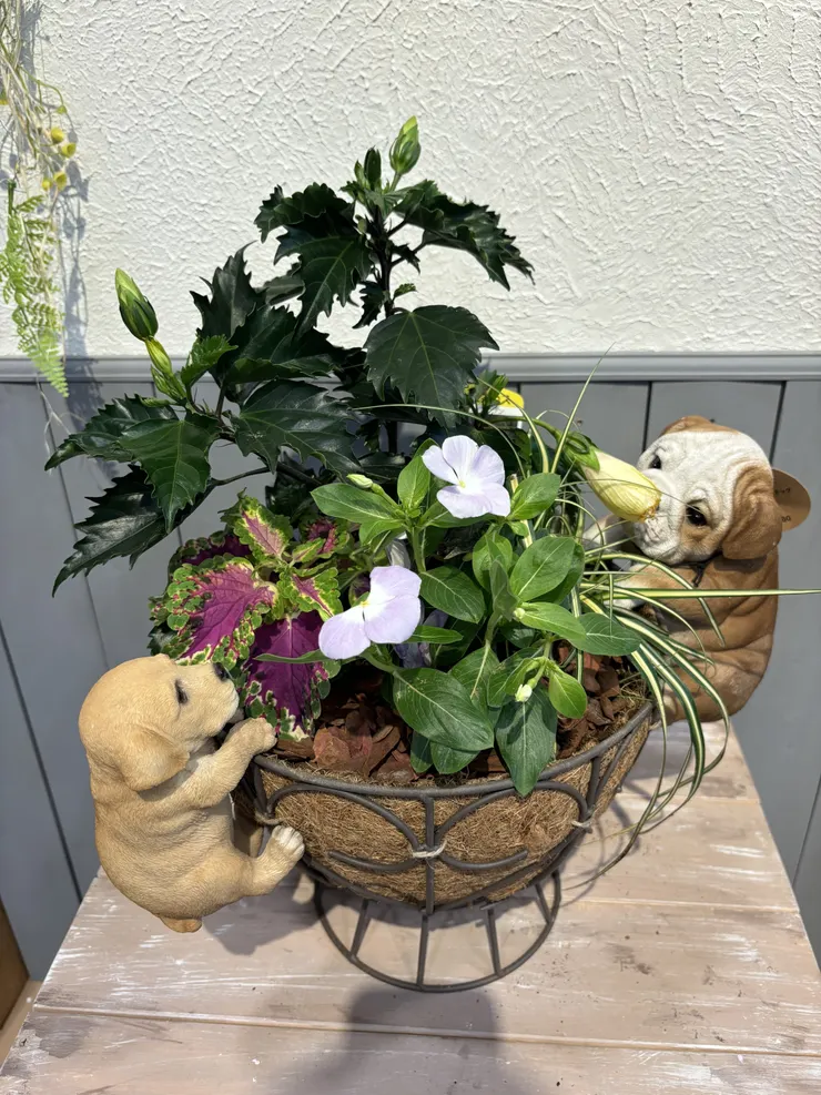 アイキャッチ