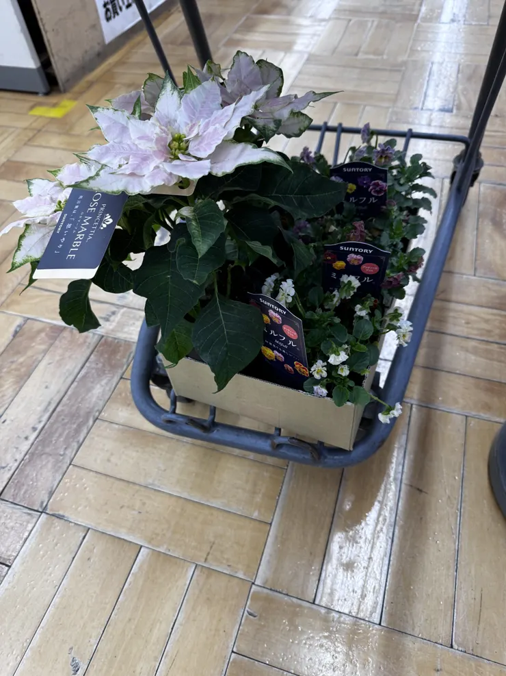 アイキャッチ