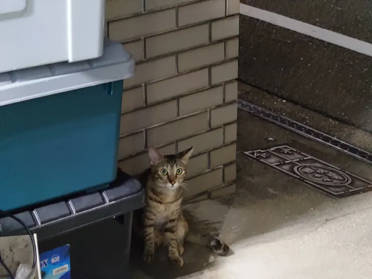 アイキャッチ