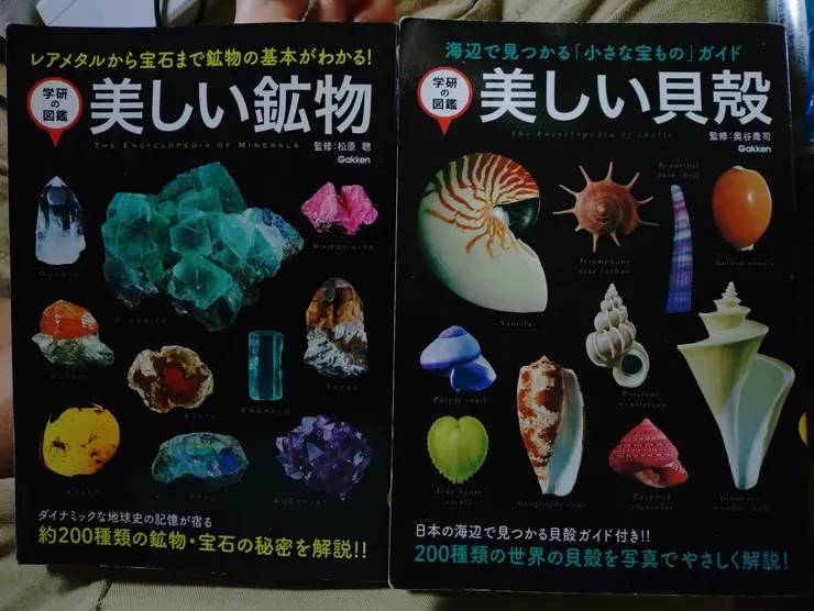 アイキャッチ
