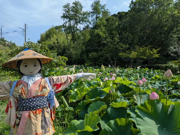 アイキャッチ