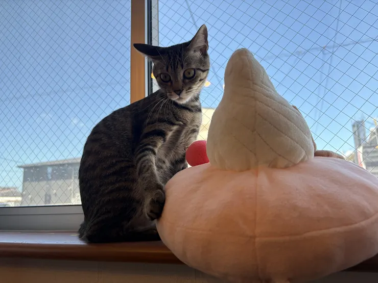 アイキャッチ