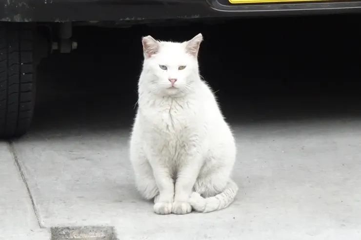 アイキャッチ