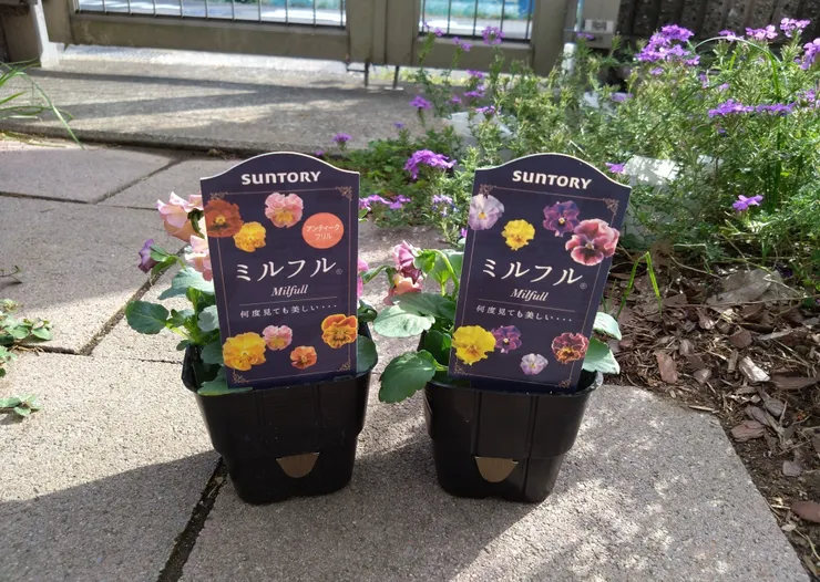 アイキャッチ