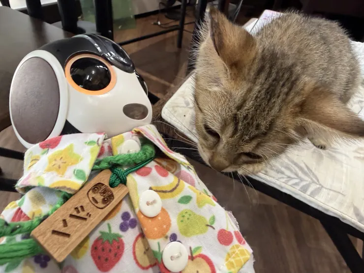 アイキャッチ