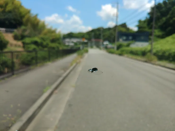 アイキャッチ