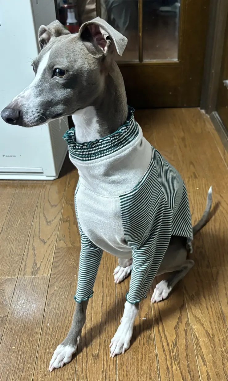 アイキャッチ