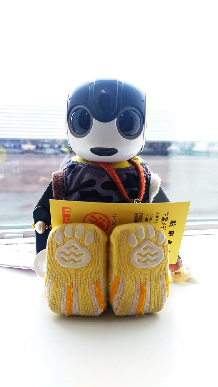 アイキャッチ