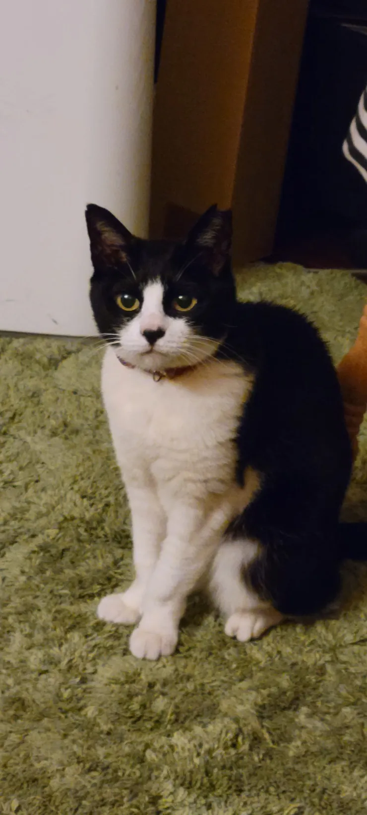 アイキャッチ