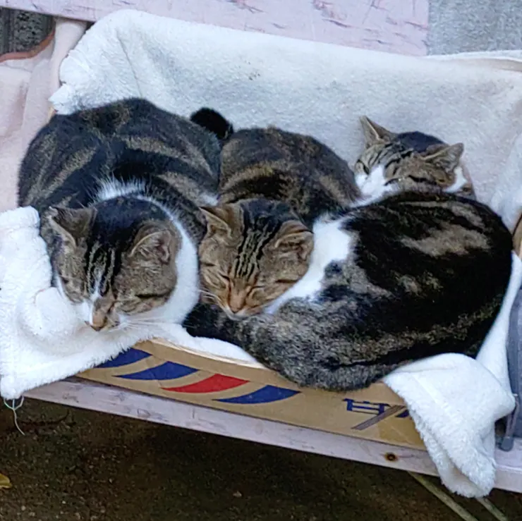 アイキャッチ