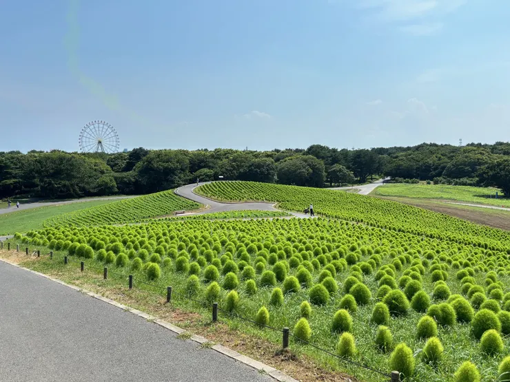 アイキャッチ