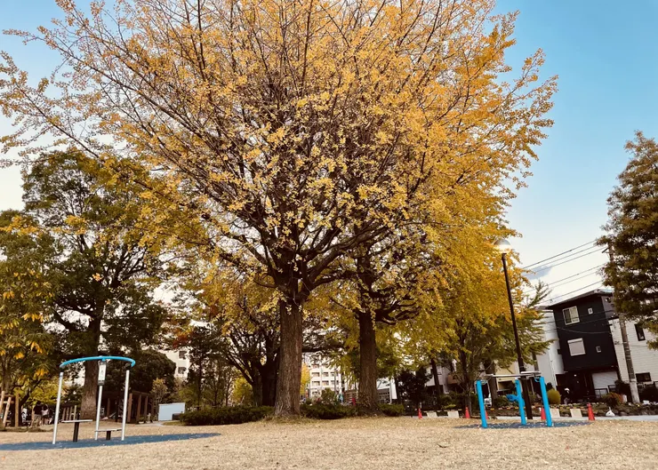 アイキャッチ