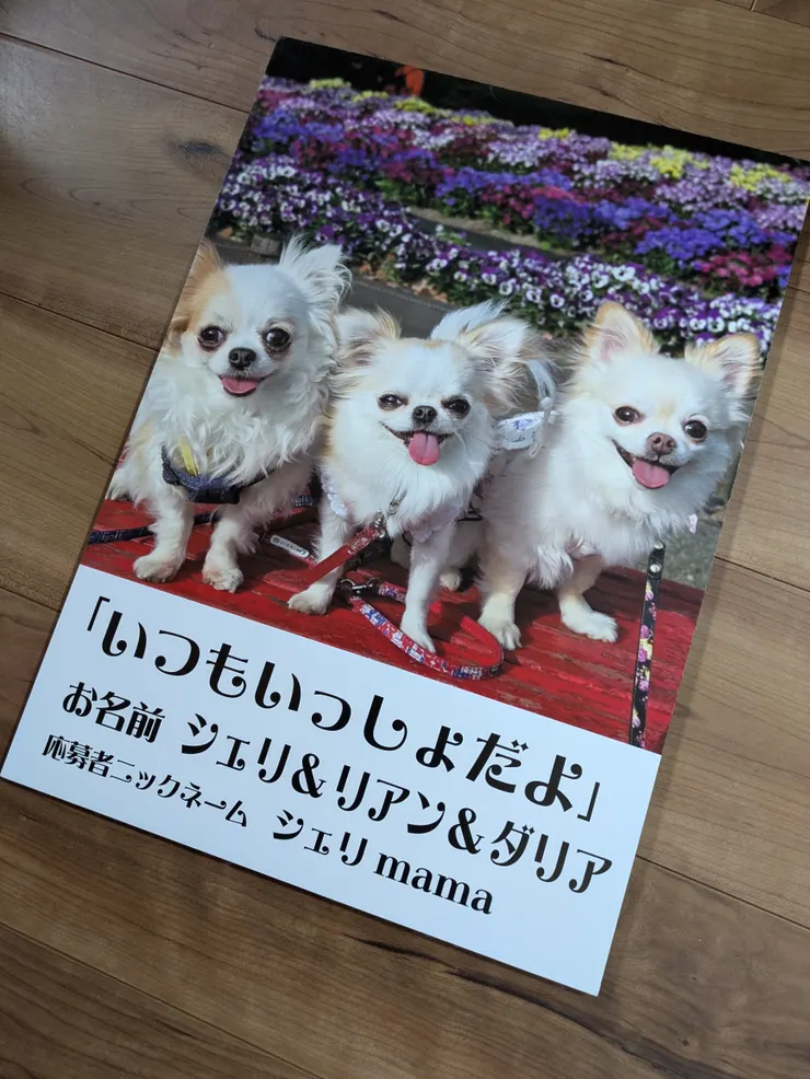 アイキャッチ