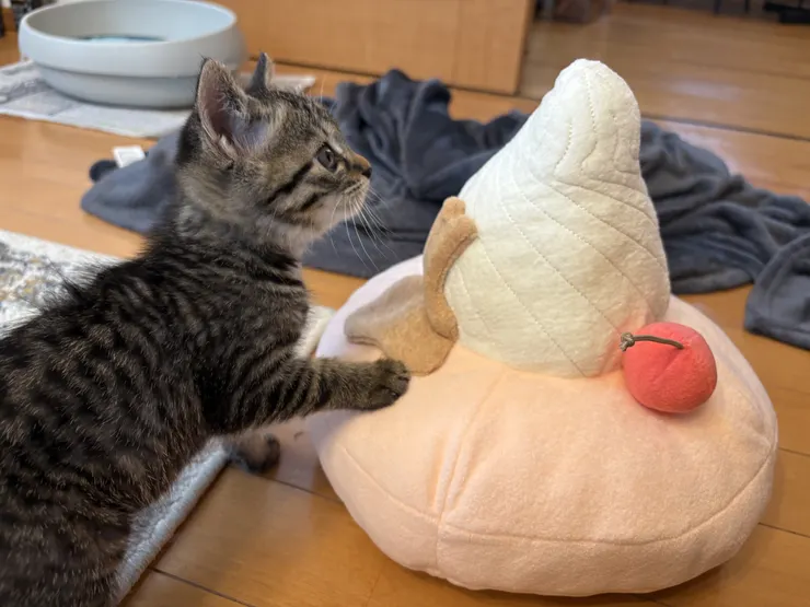 アイキャッチ