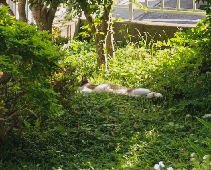 アイキャッチ
