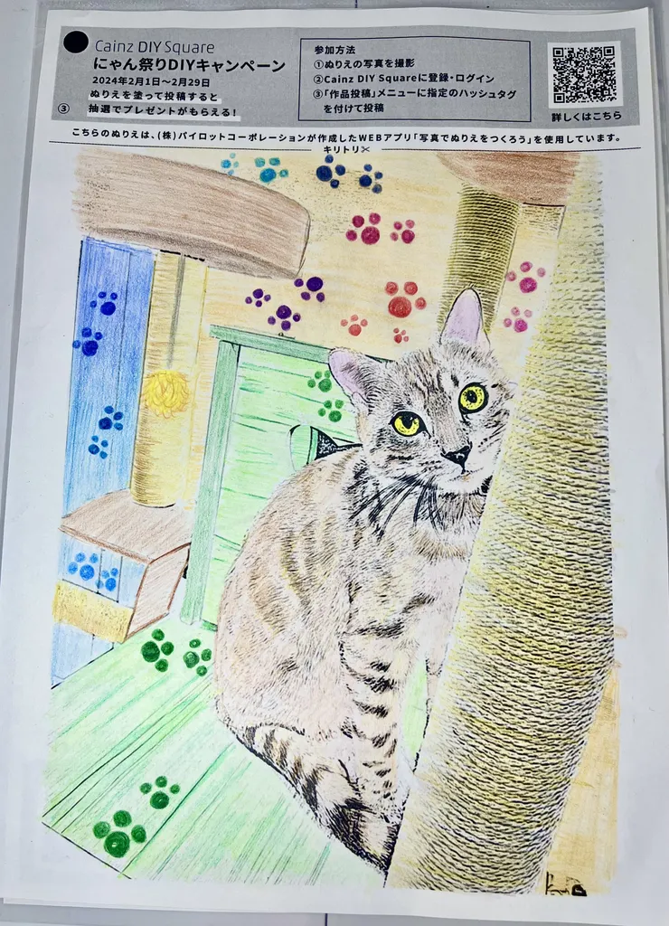アイキャッチ